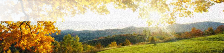 Projekce Ryav s.r.o.